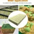100 Stück hydroponische Anzuchtwürfel