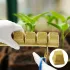 100 Stück hydroponische Anzuchtwürfel