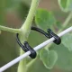 50 Stück Garten-Gitterclips für Kletterpflanzen und Blumen