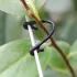 50 Stück Garten-Gitterclips für Kletterpflanzen und Blumen