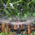 360-Grad-Automatik-Bewässerungssprinkler