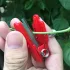 Vielseitiges Gartenmesser für die Gartenarbeit