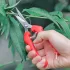 1 Stück Premium Ergonomische Edelstahl Gartenschere