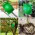 10 Stück Kunststoff-Pflanzenwurzelballen