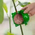 10 Stück Kunststoff-Pflanzenwurzelballen