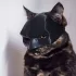 Kätzchenmaske