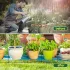 1,1 W Solarbetriebenes Tropfbewässerungssystem und Garten-Automatikbewässerungssystem