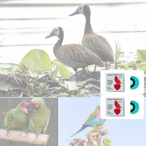 Vogelpfeife weiß - 2 Stk - Vogel Pfeife