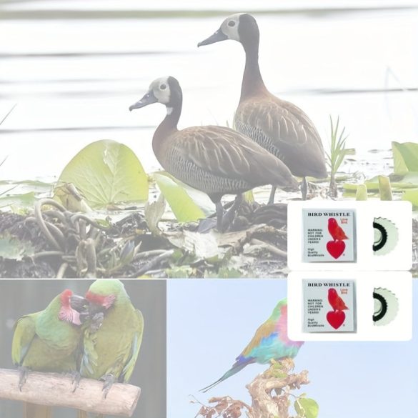 Vogelpfeife weiß - 2 Stk - Vogel Pfeife