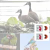 Rot - 2 Stk - Vogelpfeife