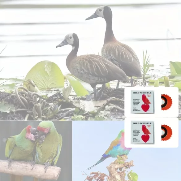 Vogelpfeife weiß - 2 Stk - Vogel Pfeife