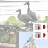 Vogelpfeife weiß - 2 Stk - Vogel Pfeife