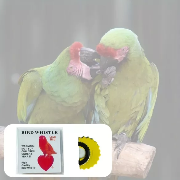 Vogelpfeife weiß - 2 Stk - Vogel Pfeife