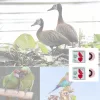 Rosa - 2 Stück - Vogelpfeife