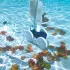Universal Pool Cleaner Set mit Reißverschluss für Polaris 280, Robuste Nylon-Netzbeutel mit Befestigungsriemen (2 Stk.)