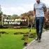 Hand-Grasschneider mit 177 cm Stiel – Edelstahl-Kantenschneider für Gartenwege