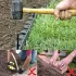 5 m Gartenrand, Rasenkante