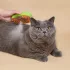 3-in-1 Katzenpflegekamm
