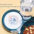 Katzennapf-Set mit automatischem Wasserspender