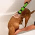 8-in-1 Hunde Duschkopf