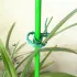 50 Stk. Verstellbarer Pflanzenbinder