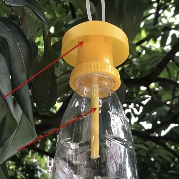 2er-Pack Fliegenfalle, flaschenmontierter Fliegenfänger