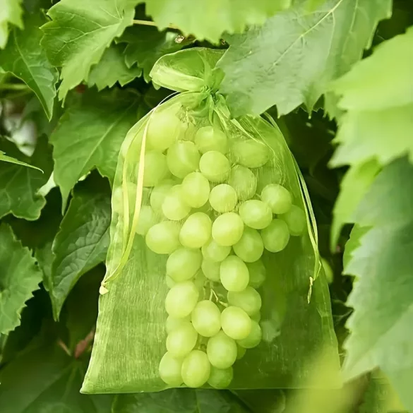 30 Stück Fruchtschutznetz