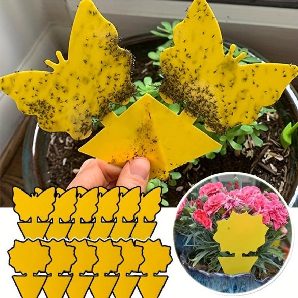 5 Stück Klebrige Insektenfalle
