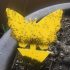 5 Stück Klebrige Insektenfalle