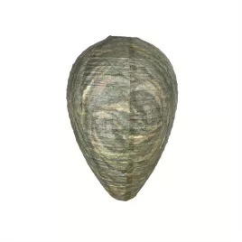 Natürliche Wespenfalle