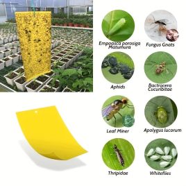 Klebrige Insektenfalle Papier, 10 Stk.