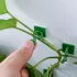 10 Stk. Kletterpflanzen-Halterung Selbstklebende Wandclips