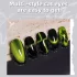 5-in-1 Nagelkunst Magnetstab für Gel-Lack, multifunktionale Katzenauge Magnettafel mit Hülle, Nageldesign Sticker-Werkzeug für French, Margerite und verschiedene Effekte