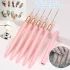 5er-Set Rosa/Schwarz Nail Art Pinsel für Details, Lange Nail Art Linienpinsel für Maniküregel Feine Designs
