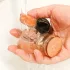 24er-Set Silikon-Stuhlbeinschützer mit Filzeinlagen - Kratzfreie Möbelschutzkappen, Leichtes Gleiten, Geräuschreduzierung - Vielseitig passend für Zuhause und Büro