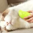 3-in-1 USB-Dampfbürste für Katzen und Hunde, Silikon-Pflege-Massagebürste