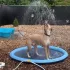 AquaFun Hundepool mit Wassersprinkler – Sommerlicher Spielspaß