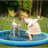 AquaFun Hundepool mit Wassersprinkler – Sommerlicher Spielspaß
