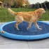 AquaFun Hundepool mit Wassersprinkler – Sommerlicher Spielspaß