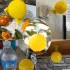 Insektenfalle | Fliegen- und Mückenfänger, für drinnen und draußen, PP-Material, ohne Strombedarf