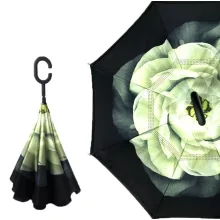Dressing zusätzlich