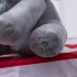 Musikalischer Plüschelefant