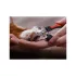 Hund- und Katzennagelknipser - Nagelschneider - Nagelschere - Tiernagelschneider - Nagelpflegeset