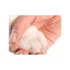 Hund- und Katzennagelknipser - Nagelschneider - Nagelschere - Tiernagelschneider - Nagelpflegeset