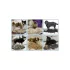Tierfell-Trimmer 10cm - Hund, Katze, Pferd - Fellbürste, Trimmer, Haustier, Fellpflege