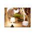 Luftbefeuchter-Diffusor Aromatherapie mit Fernbedienung und RGB-LED