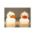 Bunte LED-Entenlampe mit Fernbedienung und USB-Anschluss