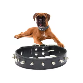 Stacheliges Hundehalsband aus Ökoleder, verstellbar