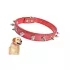 Stacheliges Hundehalsband aus Ökoleder, verstellbar