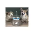 Automatische Trinkstation Katze Hund leise Schale - Haustier Trinkautomat - Für Hunde und Katzen - Leiser Betrieb